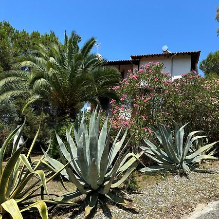 Villa Rena Vourvourou Extérieur photo
