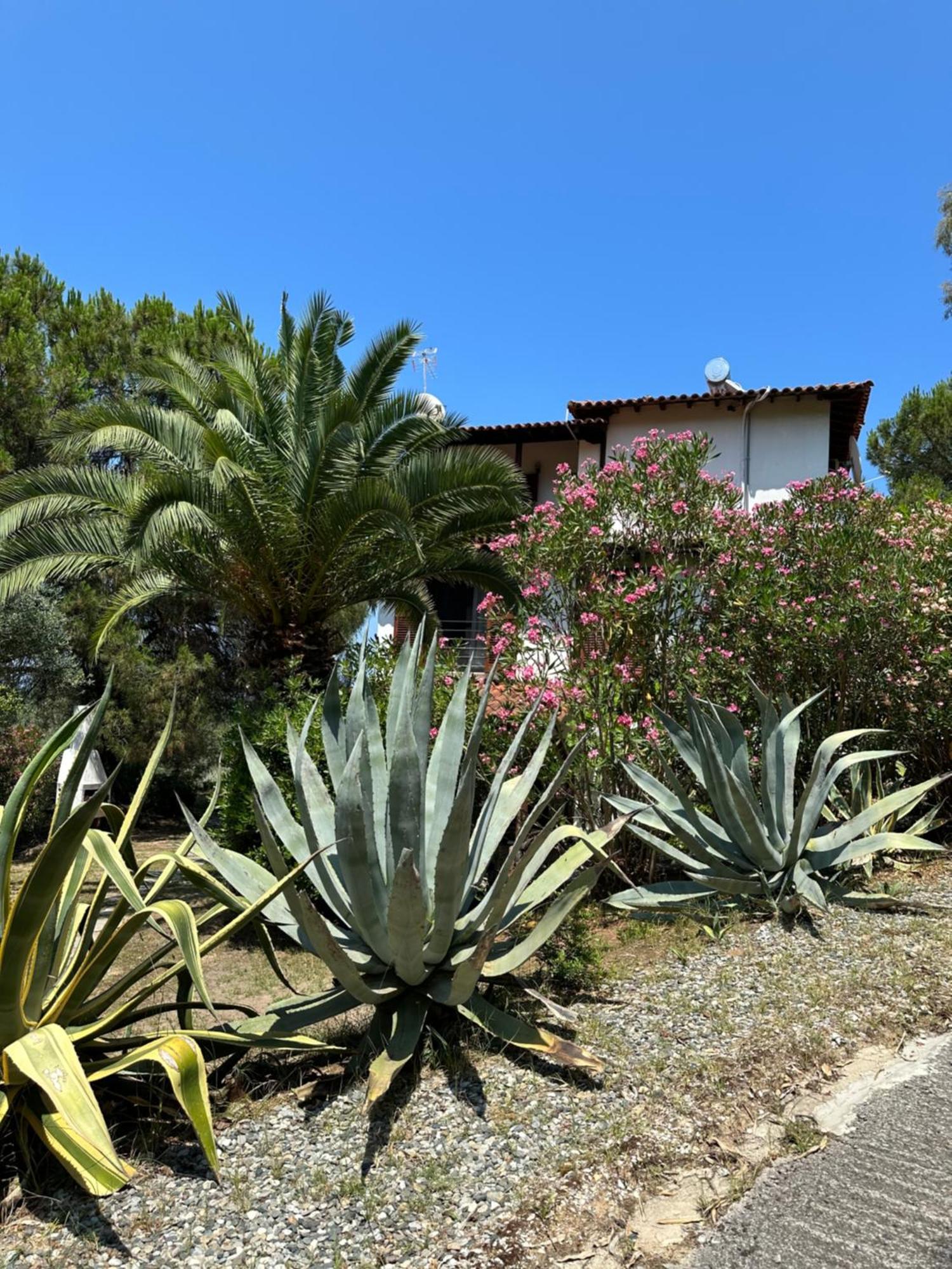 Villa Rena Vourvourou Extérieur photo