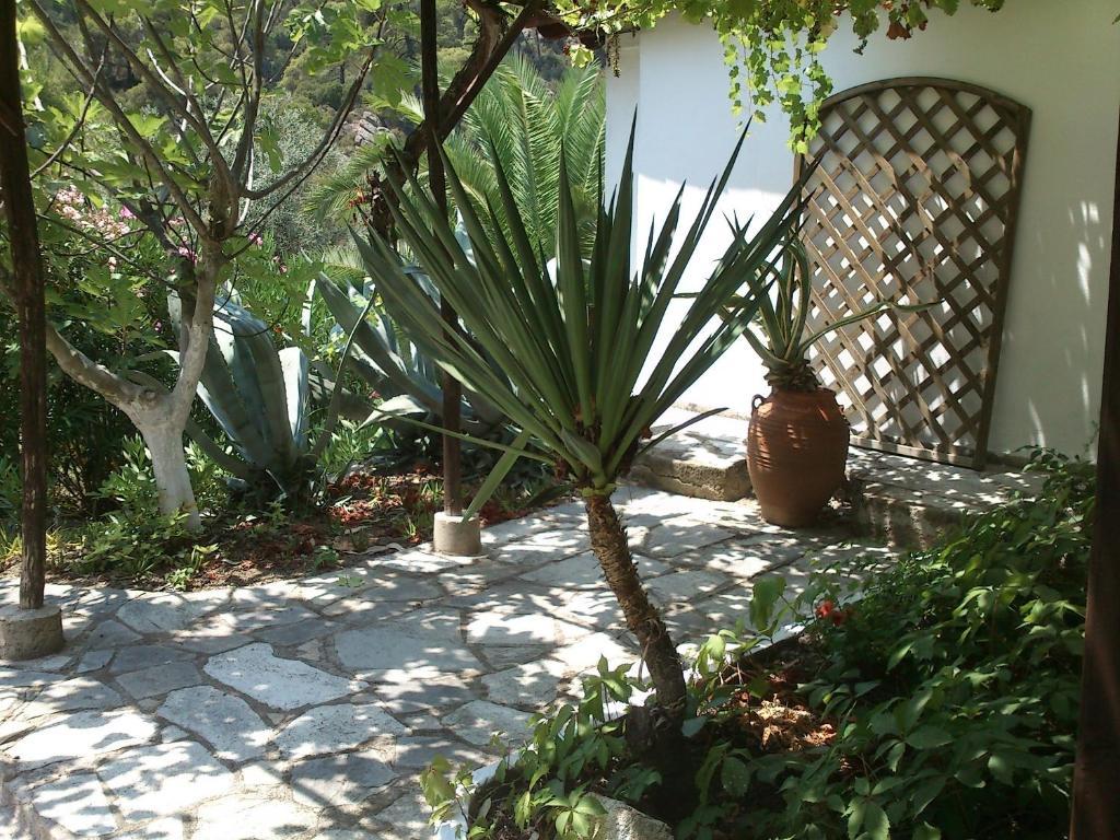 Villa Rena Vourvourou Chambre photo